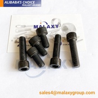 MALAXY Chine Acier Inoxydable Ss304 Boulons Ss M6 Alan Key Din912 Cylindre Socket Head Cap M8 Allen Bolt Cap Vis M4 M5 M8 M10