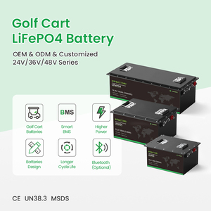 Fabbrica su misura 48v 105AH Golf Cart batteria al litio per Tour Car Golf Trolley elettrico - Product Image 4