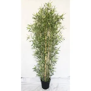 Albero di bambù Mini Lvs da 210cm senza vaso