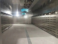 Machine de décongélation à basse température et haute humidité, adaptée à la décongélation des produits aquatiques et des fruits de mer congelés