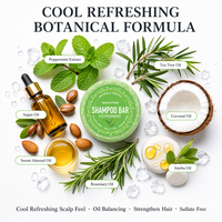 Champú Sólido Natural con Extracto de Menta, Aceite de Coco y Aceite de Árbol de Té, Equilibra la Grasa del Cabello, Fortalece el Cabello, OEM, ODM, Marca Privada