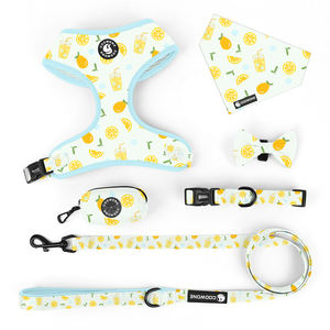 Juego <span class=keywords><strong>Popular</strong></span> de Arnés para Perro con Diseño Personalizado, Collares y Correas para Mascotas, <span class=keywords><strong>Collar</strong></span> Bandana de Lujo para Perro y Portabolsas para Excrementos, Suministros para Mascotas - Product Image 1