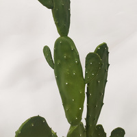 Vente chaude grand cactus artificiel en pot de haute qualité plante artificielle décoration bonsaï