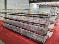 Cage à poulettes galvanisée à prix d'usine HK pour l'élevage et la croissance des poussins, structure de cage en maille pour volailles