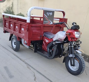Triciclo <span class=keywords><strong>de</strong></span> Carga a Gasolina para Entrega <span class=keywords><strong>de</strong></span> Materiales <span class=keywords><strong>de</strong></span> Construcción, Precio <span class=keywords><strong>de</strong></span> Fábrica - Product Image 2
