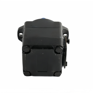 Bomba Hidráulica de Alta Presión Serie T7BS-B03 T7BS-B04 T7BS-B05, Bombas de Paletas Hidráulicas Simples de Bajo Ruido T7BS-B06-1R00-A1M1 - Product Image 6