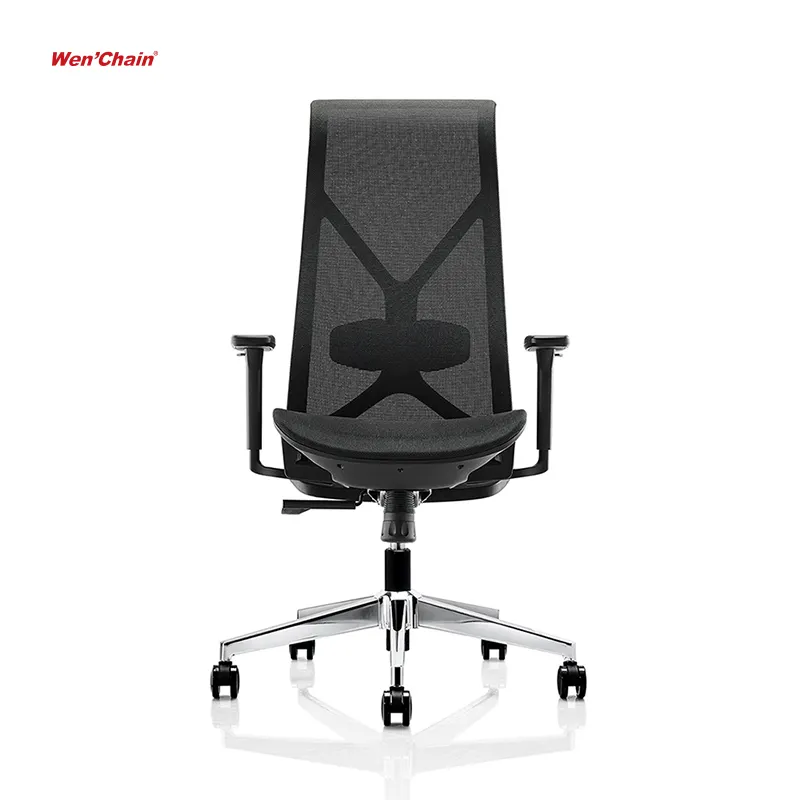 Có thể điều chỉnh riêng biệt thắt lưng hỗ trợ đôi trở lại đầy đủ lưới Ergonomic silla de escritorio ergohuman điều hành Ghế văn phòng