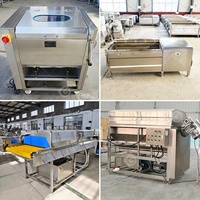 Fruit Aardbei Peper Blad Restaurant Eten Groente Schoon Wasmachine Cassave-wortelschiller met lifter