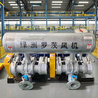 Souffleur d'air industriel chinois, souffleur Roots, moteur, compresseur pour traitement des eaux usées, aération aquaculture, haute efficacité 500L/heure