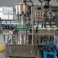 Machines de remplissage automatiques à 12 têtes pour jus de fruits, vinaigre, sauce soja, vin en bouteille, boissons, pâte de beurre de cacahuète