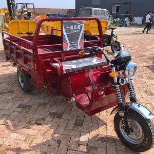 Tricycles de livraison 2024 avec moteur 48V/60V 1000W, carrosserie ouverte, tricycles 1000W - Product Image 2