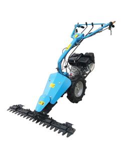 Fraiseuse agricole pour fermes – Machine de coupe d'herbe fiable et très efficace pour pâturages et terres à foin - Product Image 1