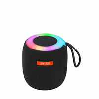 Haut-parleur portable 5.3 haut de gamme avec LED RGB, fonction FM, sortie 10W, prise en charge de la carte mémoire, idéal pour les fêtes et le home cinéma, mini sans fil