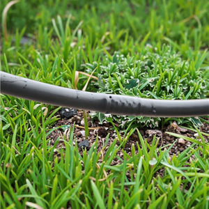 <span class=keywords><strong>Tuyau</strong></span> d'irrigation 16 mm 500 m/rouleau, espacement 50 cm, tuyaux et enrouleurs de jardin pour légumes, système d'irrigation - Product Image 6