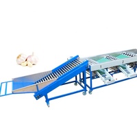 Hoge Kwaliteit Abrikoos Grader Fruit Sorteermachine Kalibratie Sizer Met Was En Classificatie Functies