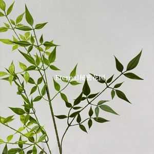 Planta Artificial de Nandina Domestica de 95cm, Color Verde Otoñal, de Plástico, para Decoración del Hogar y Hoteles, Secret Garden - Product Image 4