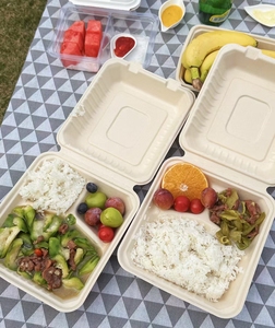 Preço barato Biodegradável togo Recipiente De Alimento Descartável Take Away Almoço Embalagem Bagaço Papel Dobradiça De Polpa Hamburger Takeaway Box