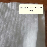 Geobag industriel en PP non tissé 100g-800g/ Haute résistance pour sous-couche routière et couche filtrante de drainage
