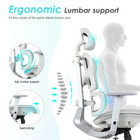 Milieu Du Dos Support Lombaire Fauteuil Visiteur Personnel De Travail Exécutif Ergonomique Chaise De Bureau
