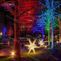 IP65 Outdoor LED-Sternmotiv-Beleuchtung für Kommerzielle Weihnachts-, Straßen-, Platz-, Hotel-, Park- und Landschaftsdekorationen