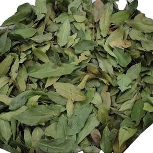 Hoja de Laurel entera de primera calidad, 4-7cm, hojas de laurel secas, especias de hierbas mediterráneas naturales, caja de 10kg para compradores a granel, exportador - Product Image 2