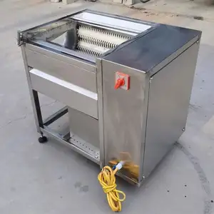 Machine à laver les patates douces de grande capacité, éplucheur de gingembre