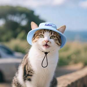 Blauer Polyester Luxus Kleintiere Hunde kostüm Eimer Hut für Katzen und Hunde - Product Image 3