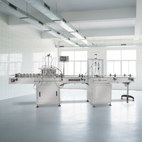 Automatische Vruchtensap Vulmachine Voor Appels Sinaasappels Klein Formaat Lage Kosten Pneumatisch Voor Glazen Fles Voor Drankenoliën