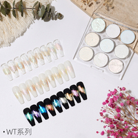 2025 Qualité Cosmétique Nail Art Aurora Effet Miroir Poudre Pigments Solide Chrome Poudre Liquide Chrome Puissance Personnalisé