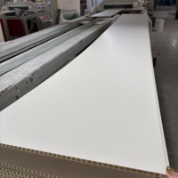 Panneau PVC alvéolaire ignifuge anti-insectes facile à nettoyer pour la décoration des murs et plafonds des abris de volailles et de bétail agricoles, et des centres commerciaux