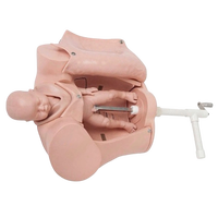 Maniquí Avanzado de Parto para Educación Médica, Simulador de Parto Portátil, Modelo de Entrenamiento