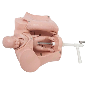Maniquí Avanzado de Parto para Educación Médica, Simulador de Parto Portátil, Modelo de Entrenamiento - Product Image 6