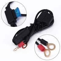 12V SAE connecteur à déconnexion rapide prise 2 broches cuivre PVC fusible batterie charge câble d'extension d'alimentation pour usage industriel