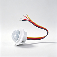 Vente directe usine – Interrupteur de lumière à détecteur de mouvement PIR 12V 24V avec temporisation/ajustement, détecteur de mouvement infrarouge pour corps humain, contrôle automatique