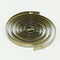 Ressort de torsion en spirale plate en acier inoxydable pour jouet