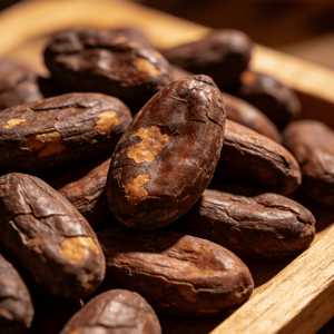 אבקת קקאו טבעית אסטרוול במחיר סיטונאי, באריזות גדולות של 25 ק\"ג, אבקת קקאו גולמית - Product Image 2