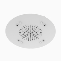 Prix direct usine, douches pluie suspendues en acier inoxydable avec lumière LED