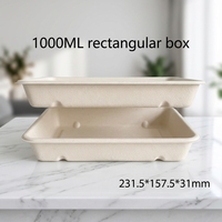 Assiettes en bagasse 100 % compostables de 1000 ml / Boîte en bagasse et assiettes jetables biodégradables écologiques pour fêtes, anniversaires, déjeuners