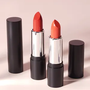 Wholesale matte liquid lipstick brown cheap private label cosmetics designer lipstick China