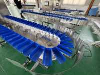 Heetverkopende, zeer efficiënte industriële automatische fruit- en groentesorteermachine voor de markt in Thailand en India