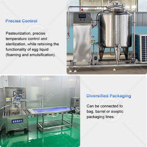Ligne de traitement des blancs d'œufs liquides pasteurisés OCEAN, machine de pasteurisation des œufs pour la production de tartes, à vendre - Product Image 5
