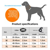 Collier Réfléchissant en Nylon pour Chien, Anti-Perte, Réglable, avec Laisse de Traction Durable Assortie – Vente en Gros