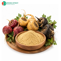 Poudre de racine de Maca rouge de haute qualité, extrait pur de Maca 10:1, poudre d'extrait de Maca, poudre de racine de Maca pour femmes