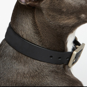 Collar Ajustable de Cuero Marrón para Mascotas con Hebilla Metálica y Correa a Juego - Product Image 3