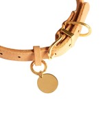 Ao Sheng Usine Logo Personnalisé Nylon Collier Filet Collier Boucle Réglable Réfléchissant Toile Pour Animaux Marche Quotidienne