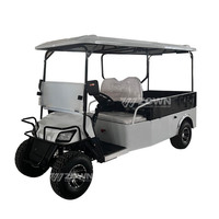 Navette de plage LSV (véhicule à faible vitesse) de conception récente, voiturette de golf électrique prête pour le sable, idéale pour les excursions en bord de mer