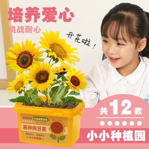 Kit de plantation créatif lumineux pour enfants, jouet éducatif pour jardin de tournesols, ensemble de jardinage d'intérieur - Product Image 1