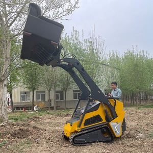 Бесплатная доставка: Мини-погрузчик на гусеничном ходу с дизельным двигателем (CE, EPA) для ландшафтных работ, строительства и сельского хозяйства - Product Image 4