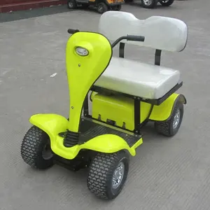 Mini buggy de golf plegable, carrito de golf eléctrico a gas de 2 plazas, a la venta