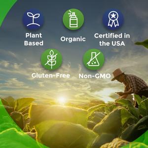 Complément certifié biologique et végétalien, mélange de poudre de maca jaune, rouge et noire gélatinisée, en capsules, marque privée ODM/OEM - Product Image 4